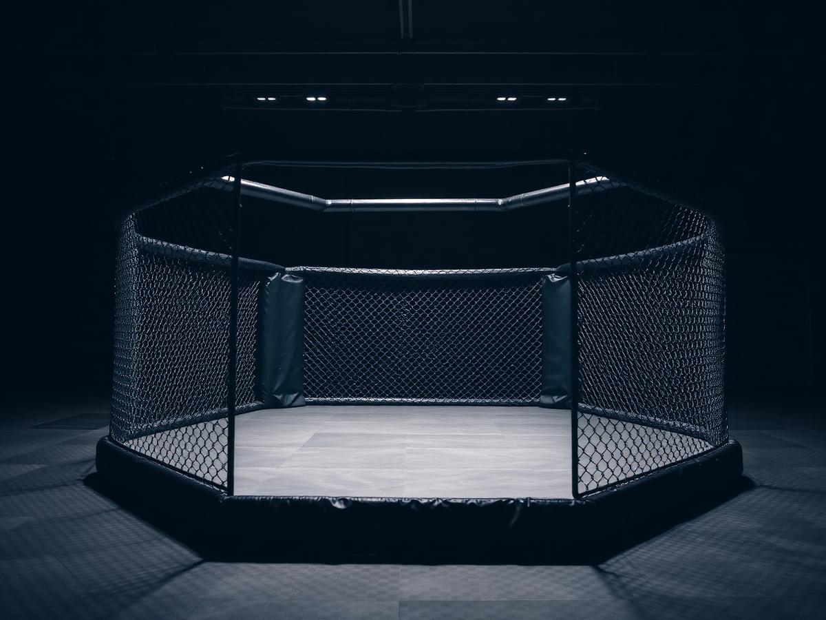 Jaula de MMA octogonal com rede preta